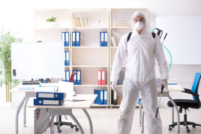Professional contractor doing pest control at office Professional contractor doing pest control at office